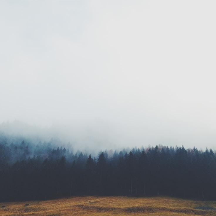 Scenic nature travel image